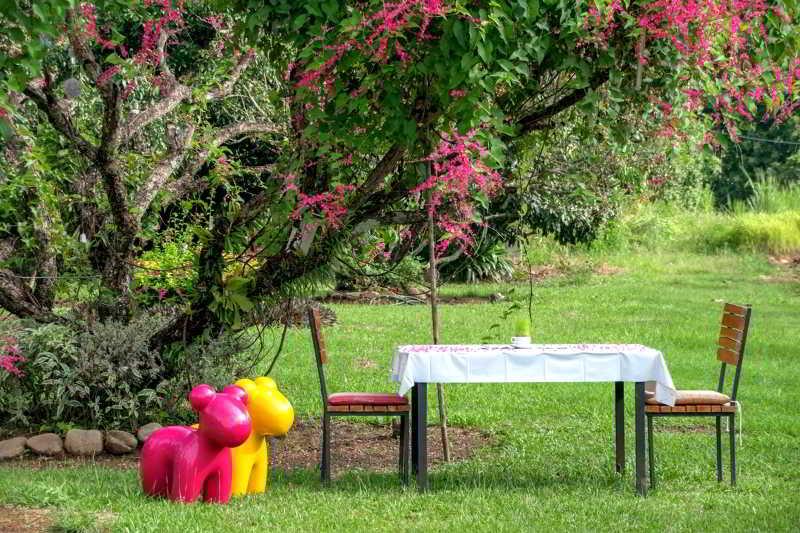 Aurora Resort Chiangdao Chiang Dao Dış mekan fotoğraf