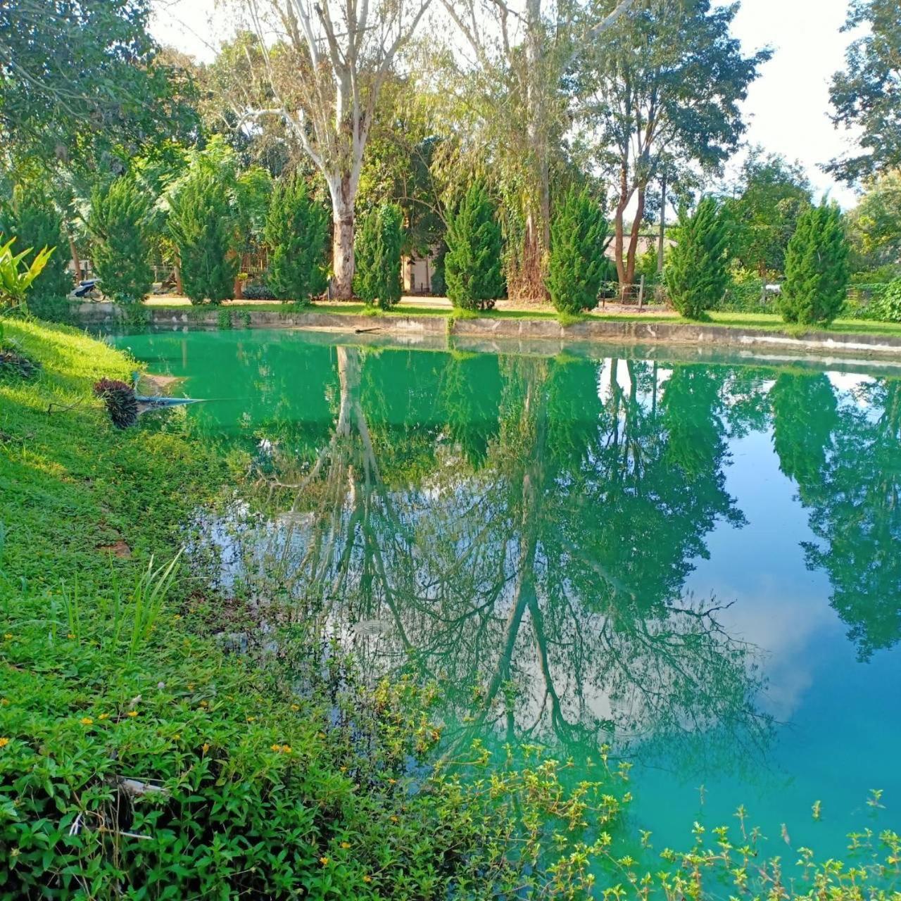 Aurora Resort Chiangdao Chiang Dao Dış mekan fotoğraf